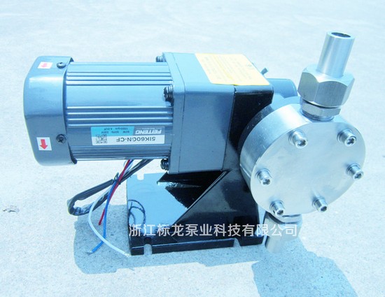 标龍計量(liàng)泵