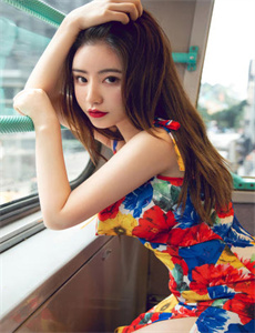 《大佬爱美丽国语》