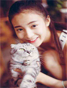 《欧美viboss de》