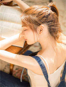 《东风破电视剧全集免费播放》